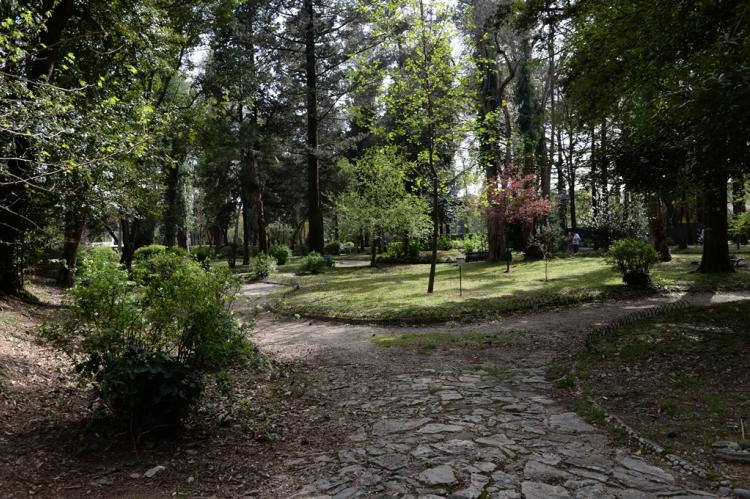 Foto: Općina Tivat