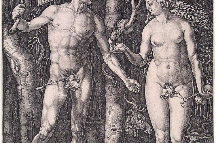Albert Direr, "Adam i Eva", bakrorez, 16. stoljeće
