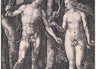 Albert Direr, "Adam i Eva", bakrorez, 16. stoljeće